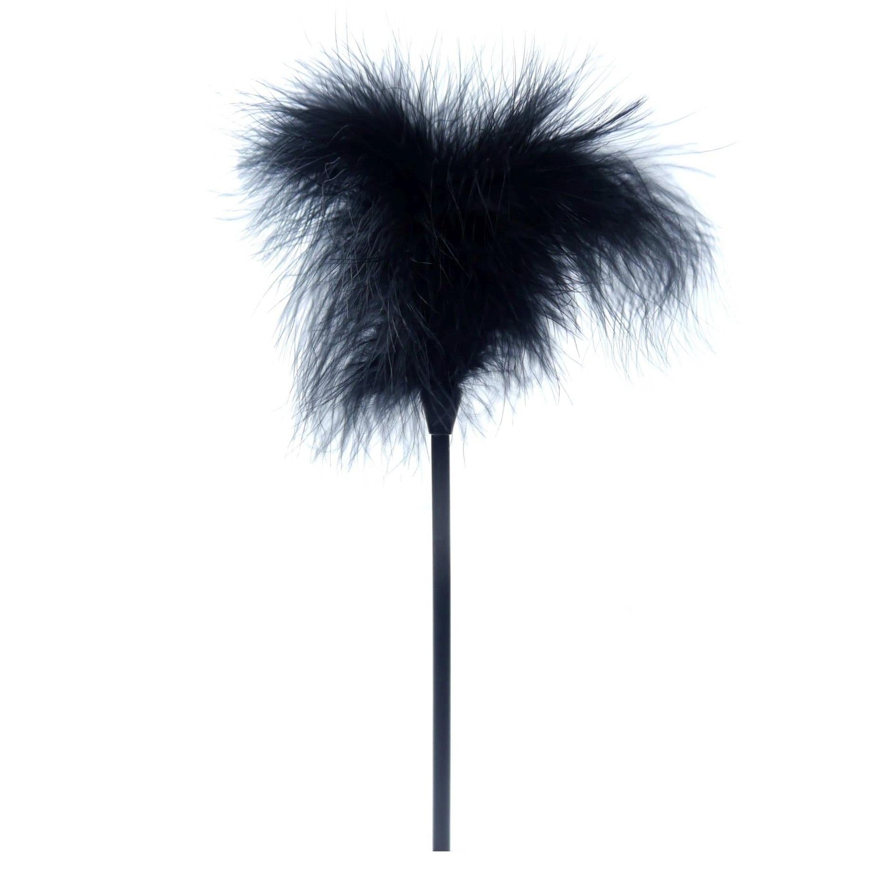 af49351a1a5830a999e7a8e4f96b88bc